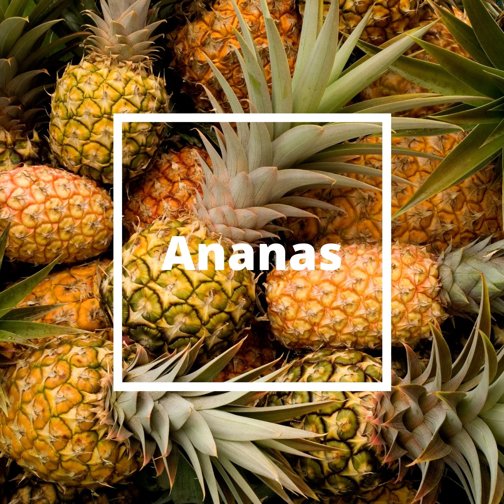 L'ATELIERO - Ananas - Victorious