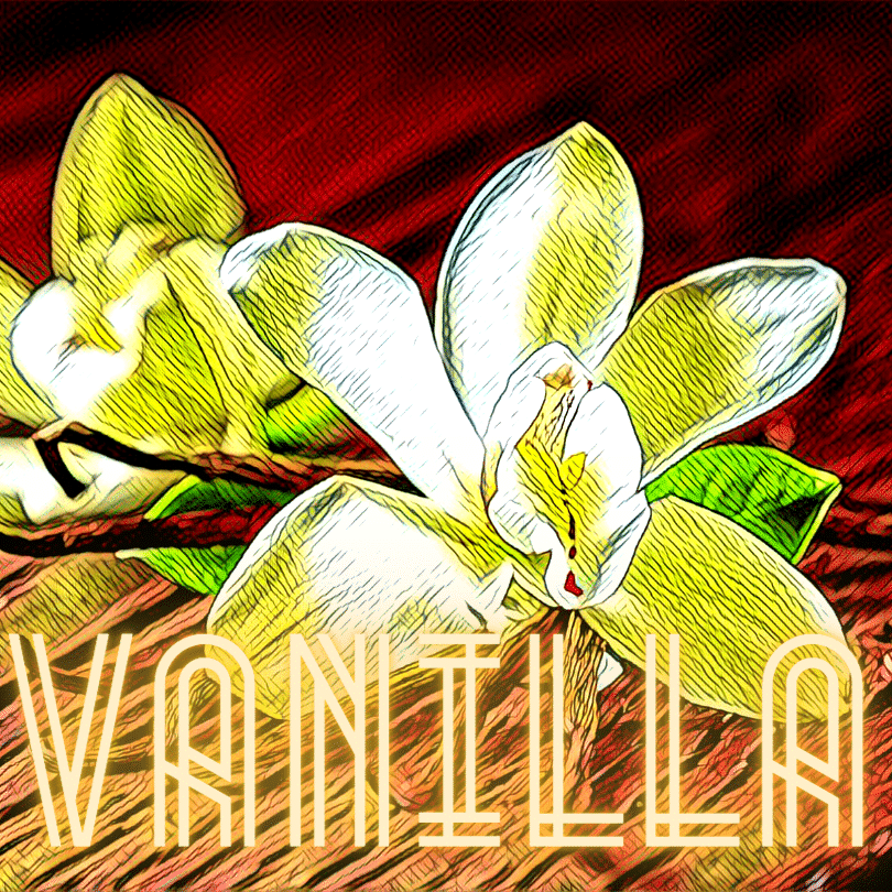 Vanille Parfum / Fragrance Clubby Charming LATELIERO